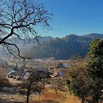 Alexas Forest Hideaway