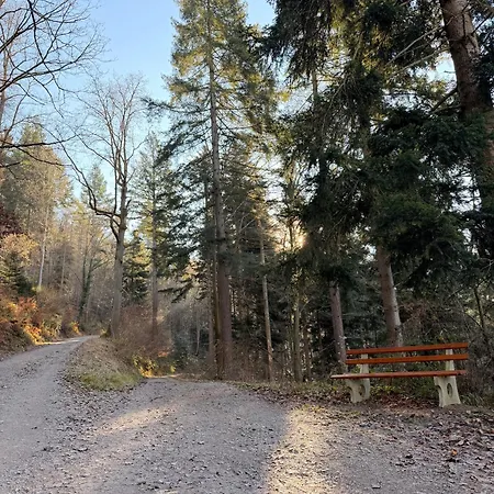 Alexas Forest Hideaway Apartman Gernsbach
