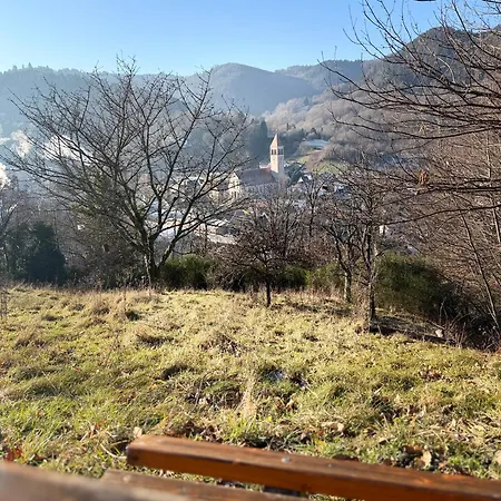Alexas Forest Hideaway * 게른스바흐