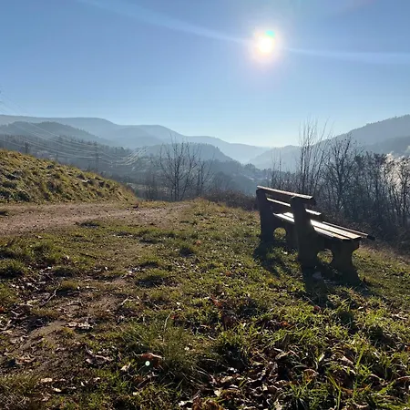 Alexas Forest Hideaway شقة *