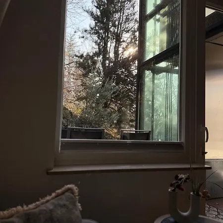 Alexas Forest Hideaway *