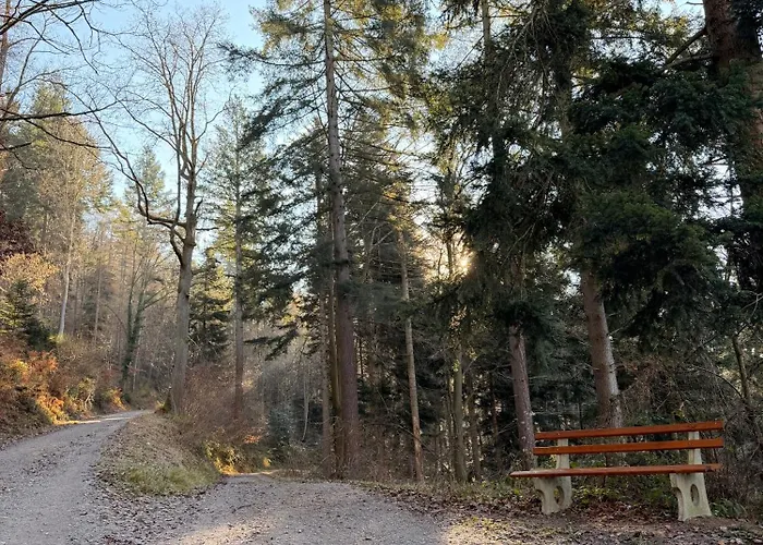 Alexas Forest Hideaway Appartement Gernsbach