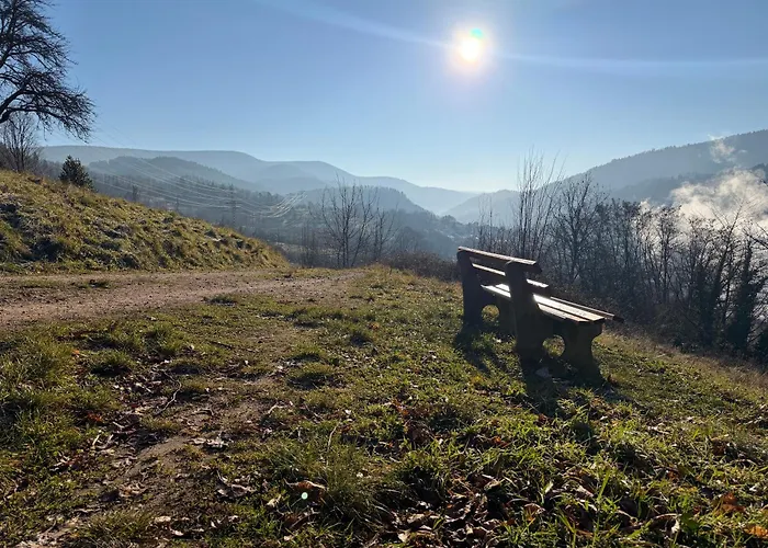 Alexas Forest Hideaway شقة *