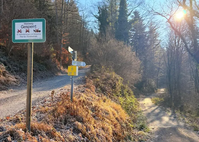 Alexas Forest Hideaway *