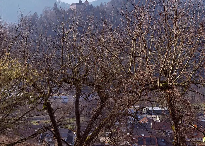 Alexas Forest Hideaway *