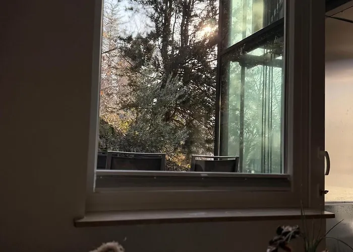 Alexas Forest Hideaway *